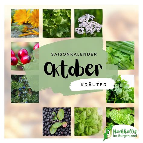 Saisonkalender Oktober Nachhaltig Im Burgenland