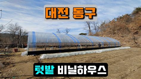 텃밭 비닐하우스 대전 동구 Crop Cultivation Vinyl Hous Youtube