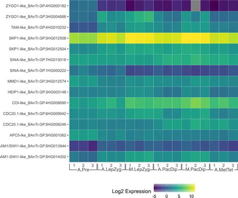 Illustrations Of E3 Ligase Substrate Capture And Labeling Methods Download Scientific