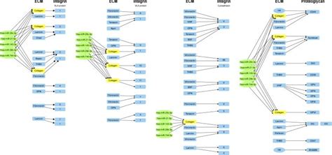 Gene Expression Analysis Notes The Graph Shows Relative Fold Change