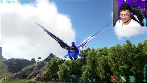 Taming Celestial Argentavis And Spirit Rex Ark Survival Evolved