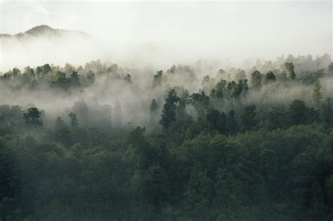 Advancing Forest Landscape Restoration in the Tropics | UN Decade on ...