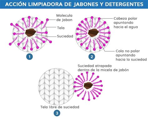 Acción Limpiadora De Jabones Y Detergentes