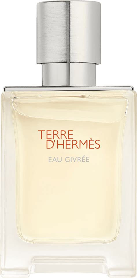 Perfume Terre d Hermès Eau Givrée Hermès EDP 50ml Beleza Na Web