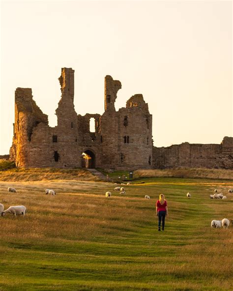 Craster to Dunstanburgh Castle Walk: is this Northumberland's best ...