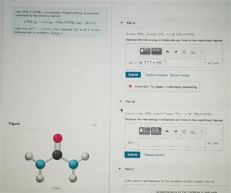 Solved Urea Nh Conh An Important Nitrogen Fertilizer Is Chegg