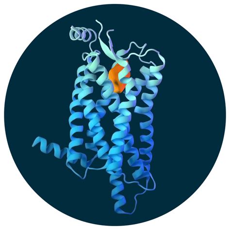 Orexin Agonist (ORX750) - Centessa Pharmaceuticals