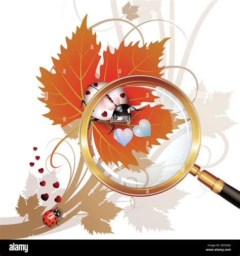 Illustration Of A Ladybug On Leaf Seen By A Magnifying Glass Stock Vector Image And Art Alamy