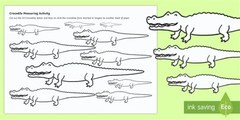 Crocodile Measurement Worksheet Worksheet Teacher Made