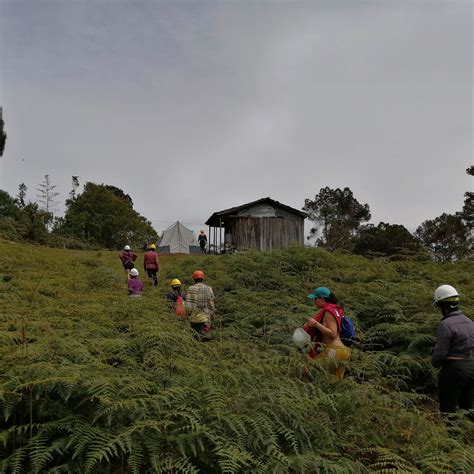 Trekking Desde Jardin A Támesis Con Guia Turistico Senderismo