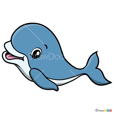 How to Draw Baby Dolphin, Baby Animals