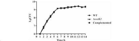 Growth Curves For The Wt Δssek2 And Complemented Strains All Strains