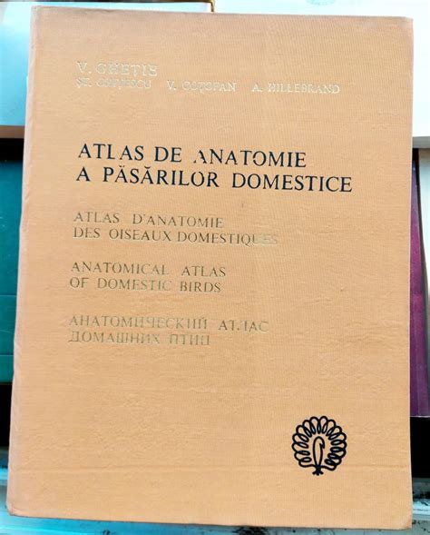 Atlas De Anatomie A Pasarilor Domestice V Ghetie Okazii Ro