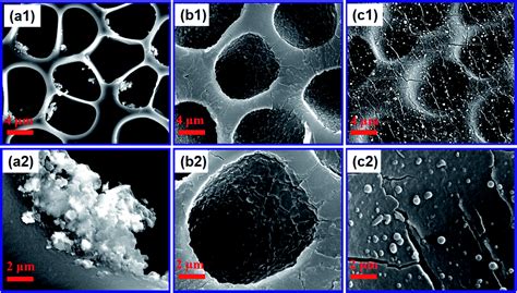 The Polydopamine Enhanced Superadhesion And Fracture Strength Of