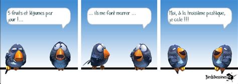 Partagez Vos Birds Dessinés Humour Humour Oiseaux Blague De Blonde