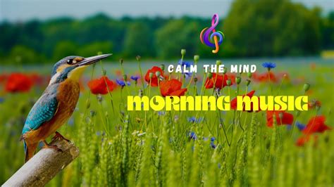 Morning Music Relaxation Musik Penenang Dan Penguat Energi Positive