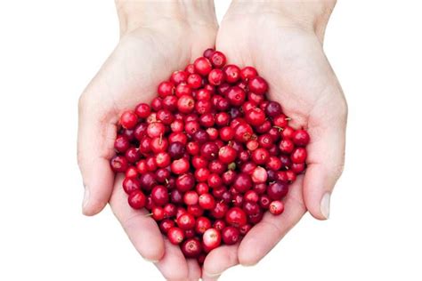 Health Benefits Of Cranberries Why You Should Eat More Of The