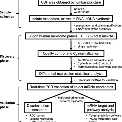 Workflow For The Identification Of Altered Mirnas In The Exosomal