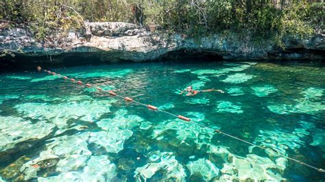 Top Melhores Cenotes De Cancun E Riviera Maya Dicas E Pre Os