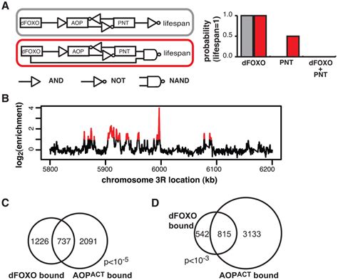 Dfoxo And Aopact Share Binding Sites Across The Genome A Boolean Download Scientific Diagram