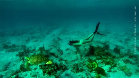 Top 5 Beaches for Snorkeling on St. Thomas - Virgin Islands