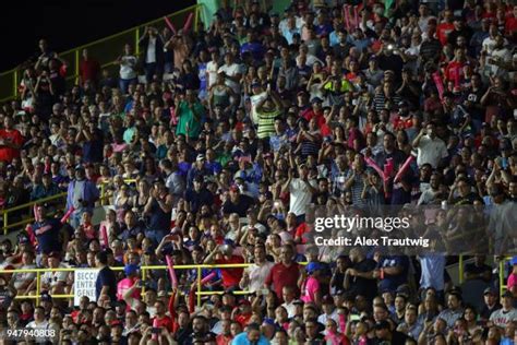 Minnesota Twins Fans Photos And Premium High Res Pictures Getty Images