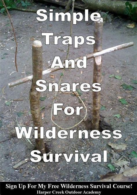 An Article Describing How To Construct Simple Traps And Snares For