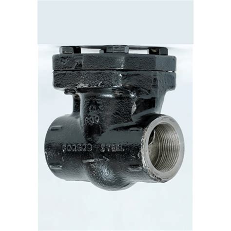 Forged Steel Non Return Valve Socket Weld End Screwed Thorat Valves