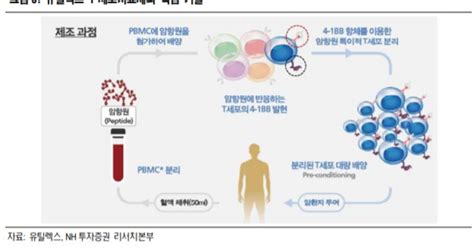 Hot Line 유틸렉스 국내 대표 T세포 치료제 개발시장 주목