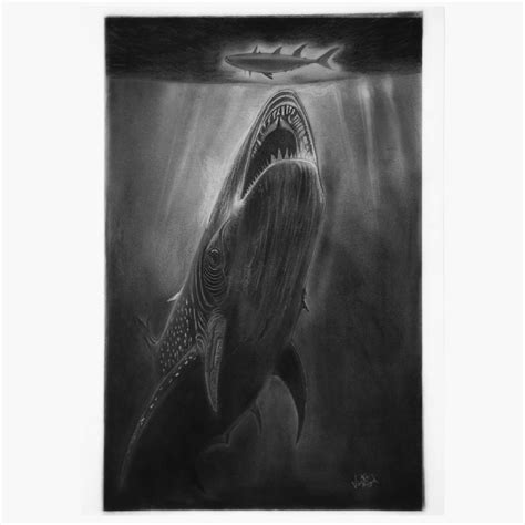 Realistic whale drawing, charcoal , : r/drawing