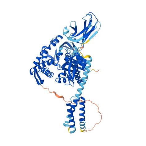 RCSB PDB AF AFP63017F1 Computed Structure Model Of Heat Shock