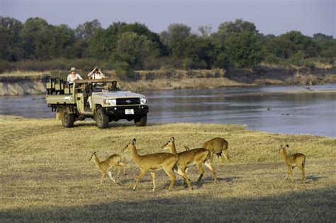 Conservation Safari: Safari with Purpose - Virtually Yours Travel Show