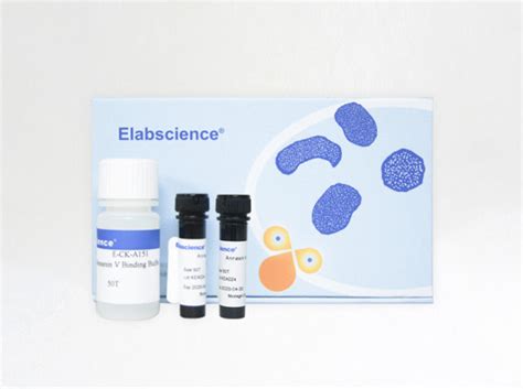 Annexin V Af Pi Apoptosis Detection Kit Elabscience Biomol De