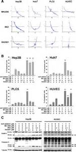 Synergistic Growth Inhibitory And Apoptosis Inducing Effects Between