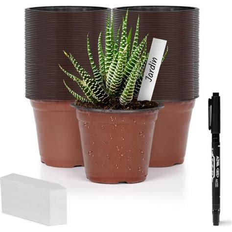 Petits Pots De P Pini Re Lot De Pot Fleur Plastique Cm Avec