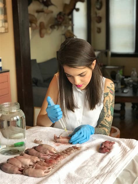 GETTING STARTED IN TAXIDERMY Mickey Alice Kwapis