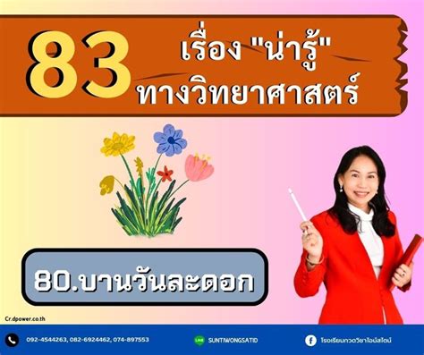 โรงเรยน กวดวชาไอนสไตน 83 เรองนารทางวทยาศาสตร 80 บานวนละ