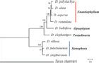 Complete Chloroplast Genome Sequences Of Dioscorea Characterization