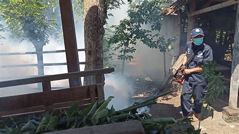 Cegah Penyebaran Cikungunya Dinkes Tulungagung Lakukan Fogging