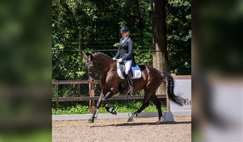 Imke Maas Ik Heb Nog Nooit Zon Sterke Band Gehad Met Een Paard