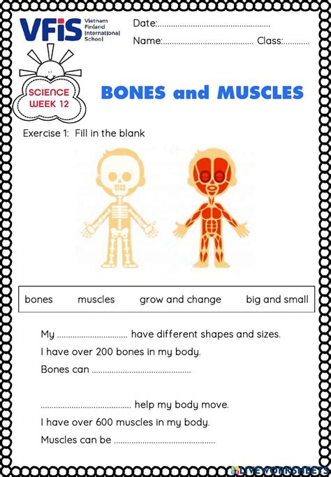 Worksheet Bones And Muscles Science Week 12 Online Exercise For Live Worksheets