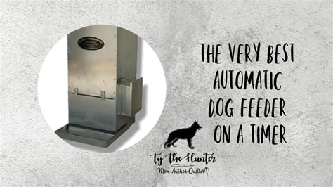 My Favorite Large Dog Feeder With Timer | Ty The Hunter - TY THE HUNTER