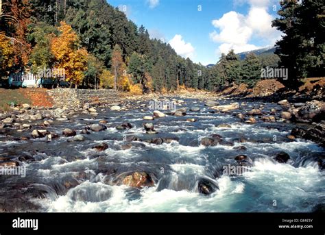 Pahalgam Valley And Lidder River Kashmir India Stock Photo Alamy