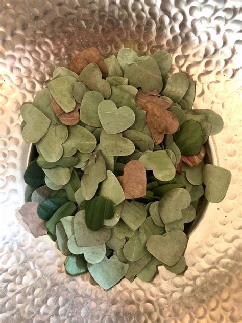 Leaf Confetti Dried Eucalyptus Heart Confetti Wedding Toss Etsy