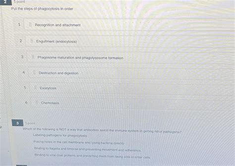 Solved 9 2 1 Point Put The Steps Of Phagocytosis In Order 1 Chegg