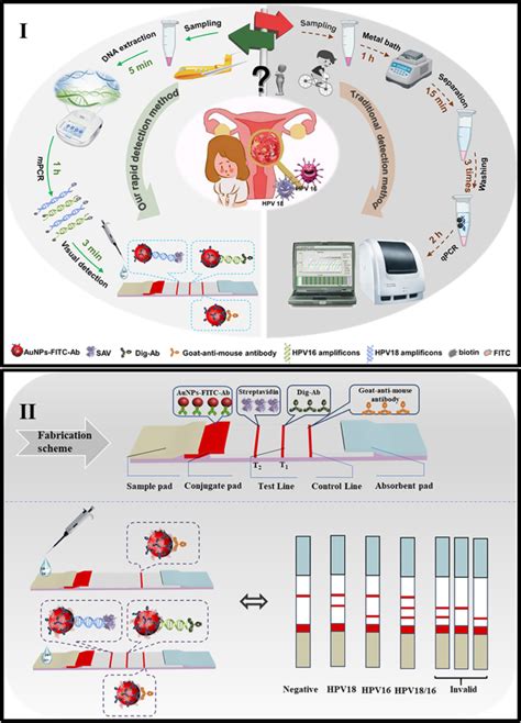 Rapid And Simultaneous Visual Typing Of High Risk HPV 16 18 With Use Of