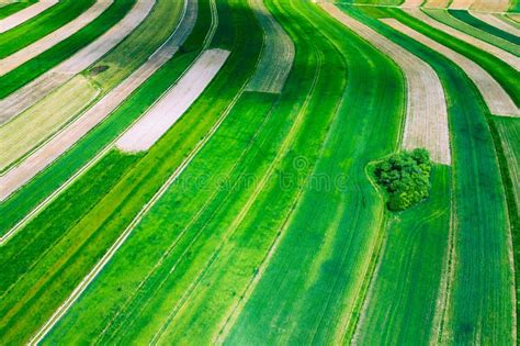 Polen Von Oben Vogelperspektive Umweltfreundlicher Landwirtschaft