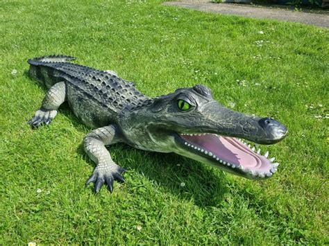 Alligator Lebensgross Deko Figure Shop Garten Fantasy De