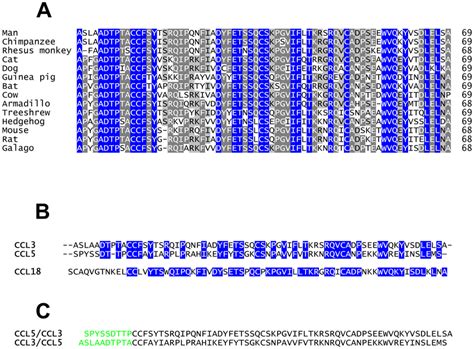 Amino Acid Sequence Alignments A Alignment Of Mammalian Ccl