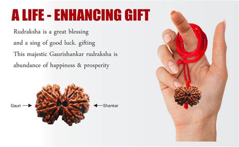 Saubhagya Global Gauri Shankar Rudraksha Lab Certified Siddha In